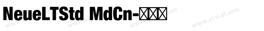 NeueLTStd MdCn字体转换